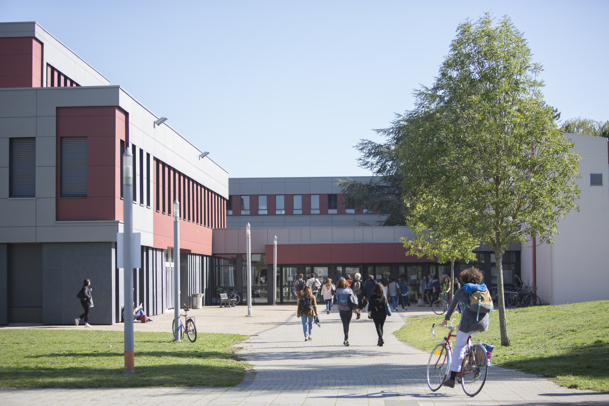 Cour d’un campus et lieux de passage des étudiants, référence visuelle du projet.